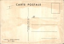 VINTAGE POSTCARD Ass Mule Haddock