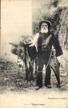 CPA Ane Mule Type Corse Corsica 