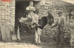 VINTAGE POSTCARD Ass Mule Ile de Ré the ass in breeches Departure for fields TOP