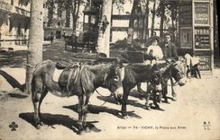CPA Ane Mule Vichy La place aux Anes 