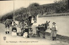 VINTAGE POSTCARD Ass Mule grape harvest On the way for press TOP