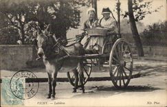 VINTAGE POSTCARD Ass Mule Vichy Laitieres