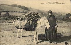 VINTAGE POSTCARD Ass Mule the inseparable Pyrenees Two returning to wood