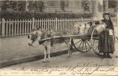 VINTAGE POSTCARD Ass Mule Vichy Laitiere Bourbonnaise
