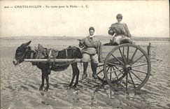 VINTAGE POSTCARD Ass Chatelaillon Mule On the way for the sin