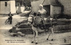CPA Ane Mule Normandie Servante sur sa bourrique