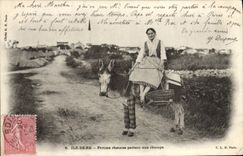 CPA Ane Mule Ile de Re Femme rhetaise partant aux champs 