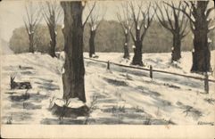 VINTAGE POSTCARD Fantasy Illustrator Drill