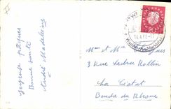 CPA Fantaisie Illustrateur Lapin Poussins 