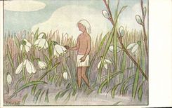 VINTAGE POSTCARD Fantasy Kreidolf Illustrator