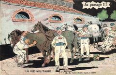CPA Militaria Au pansage Cheval