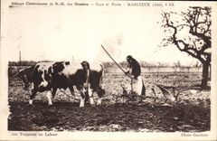 CPA Attelage Abbaye cistercienne de ND des Dombes Marlieux Frere trappiste au labour