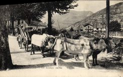 CPA Attelage Lourdes Un attelage paysan Boaufs 