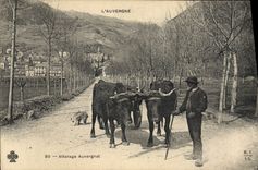 VINTAGE POSTCARD Coach Auvergne Auvergnat Coach