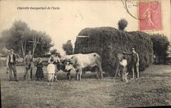 VINTAGE POSTCARD transporting Coach Cart of grass TOP