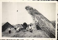 Photo Transportable steam-engine Machine in the fields
