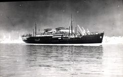 Real photo Boat Steamer Felix Roussel