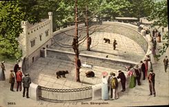 CPA Ours Bern Barengraben 