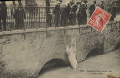 CPA Ours Paris Inondations de janvier 1910 L'ours blanc 