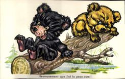 CPA Ours Heureusement que tu as la peau dure