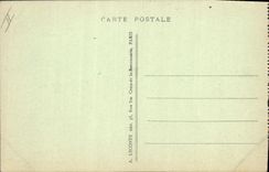 CPA Ours Paris Museum d'histoire naturelle Ours blancs Europe centrale