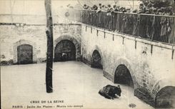 CPA Ours Paris Crue de la Seine Jardin des plantes Martin tres ennuye 