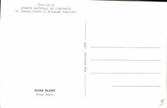 CPM Ours blanc 