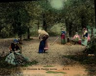 CPA Folklore Les glaneuses de feuilles mortes