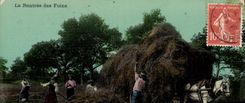 CPA Folklore La rentree des foins