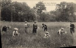 CPA Folklore La vie aux champs La cueillette des Marguerites