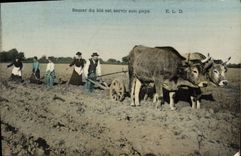 CPA Folklore Semer du ble est servir son pays