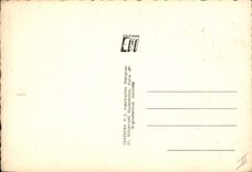 VINTAGE POSTCARD Cinema Raymond Roller