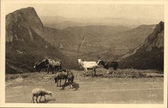 CPA Chevre Environs du Mont Dore Vallee de la Sioule et les Roches Sanadoire et Tuiliere 