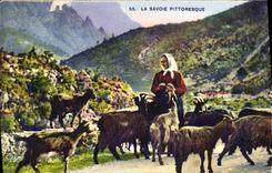 VINTAGE POSTCARD Savoy Goat