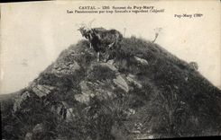 CPA Chevre Cantal Sommet du Puy-Mary Les pensionnaires par trop farouches regardent l'objectif 