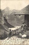 CPA Chevre Sur l'Alpe Chevres Suisse