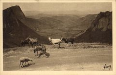 CPA Chevre Environs du Mont Dore Vallee de la Sioule et les roches Sanadoire et Tuiliere 