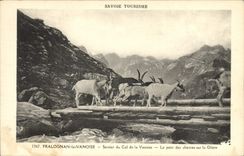 CPA Chevre Savoie Pralognan la Vanoise Sentier du col de la Vanoise Le pont des chevres sur la Gliere 