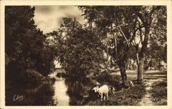 CPA Chevre Argenteuil
