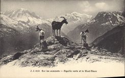 CPA Chevre Sur les sommets Aiguille verte et le Mont Blanc 