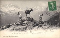 CPA Chevre Sur les sommets Aiguille verte et le Mont Blanc 