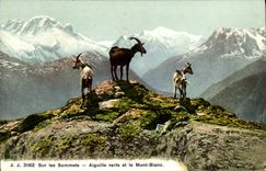 CPA Chevre Sur les sommets Aiguille verte et le Mont Blanc 