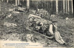 VINTAGE POSTCARD Drill Folklore the Vosges Schlitteurs descending wood from the mountain Drill of Urson TOP