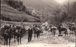 VINTAGE POSTCARD Drill Eastern Pyrenees Folklore conveying wood TOP Muleteers