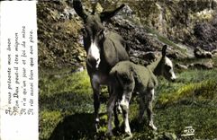 CPA Ane Mule Alpes Anesse et anon