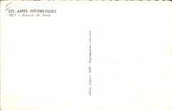 VINTAGE POSTCARD Ass Mule the Alps She-ass and haddock