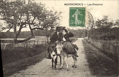 VINTAGE POSTCARD Ass Montmorency Mule in love ones