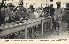 CPA Ane Mule A l'abreuvoir Muletiers indiens Militaria