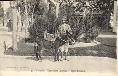 CPA Ane Mule Marseille Exposition coloniale Type tunisien 