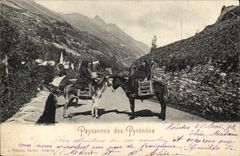 VINTAGE POSTCARD Ass Mule Country-women of the Pyrenees
